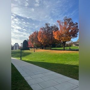 Meet your Posher, Reilly